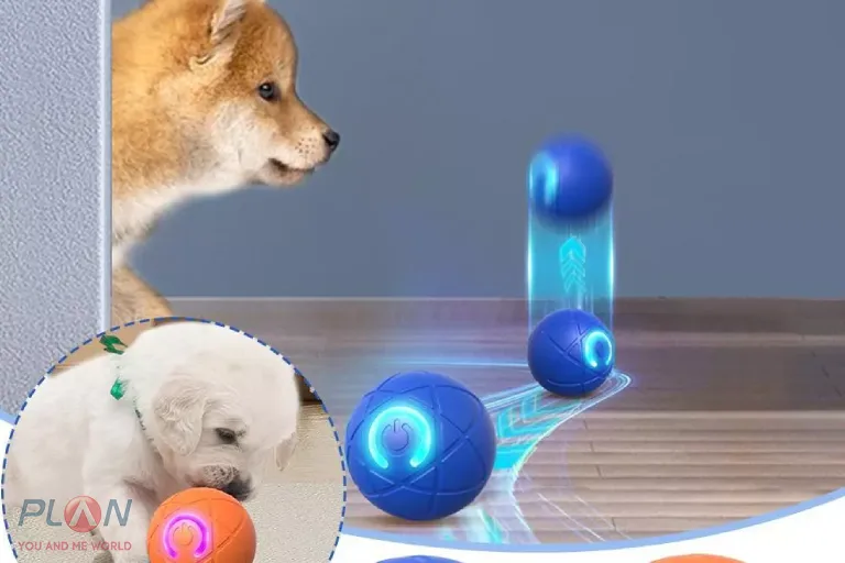 اسباب بازی هوشمند برای حیوانات خانگی