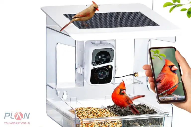 اسباب بازی هوشمند برای حیوانات خانگی