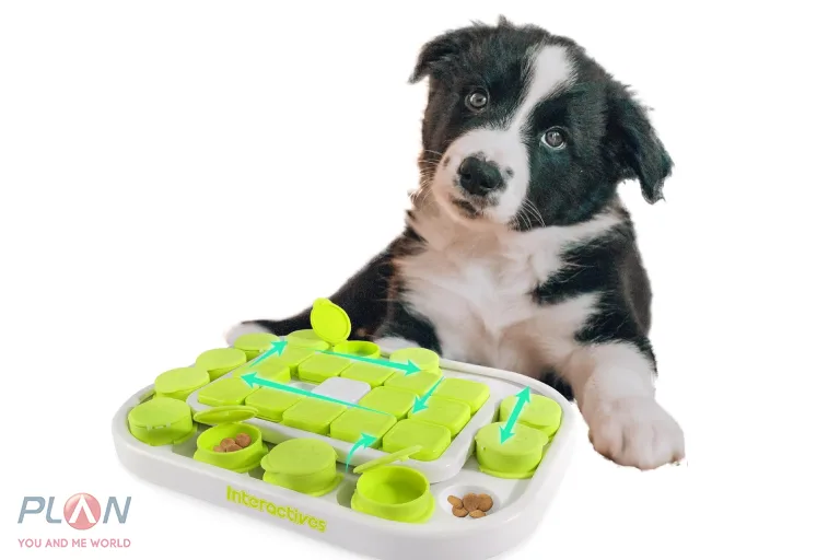 اسباب بازی هوشمند برای حیوانات خانگی